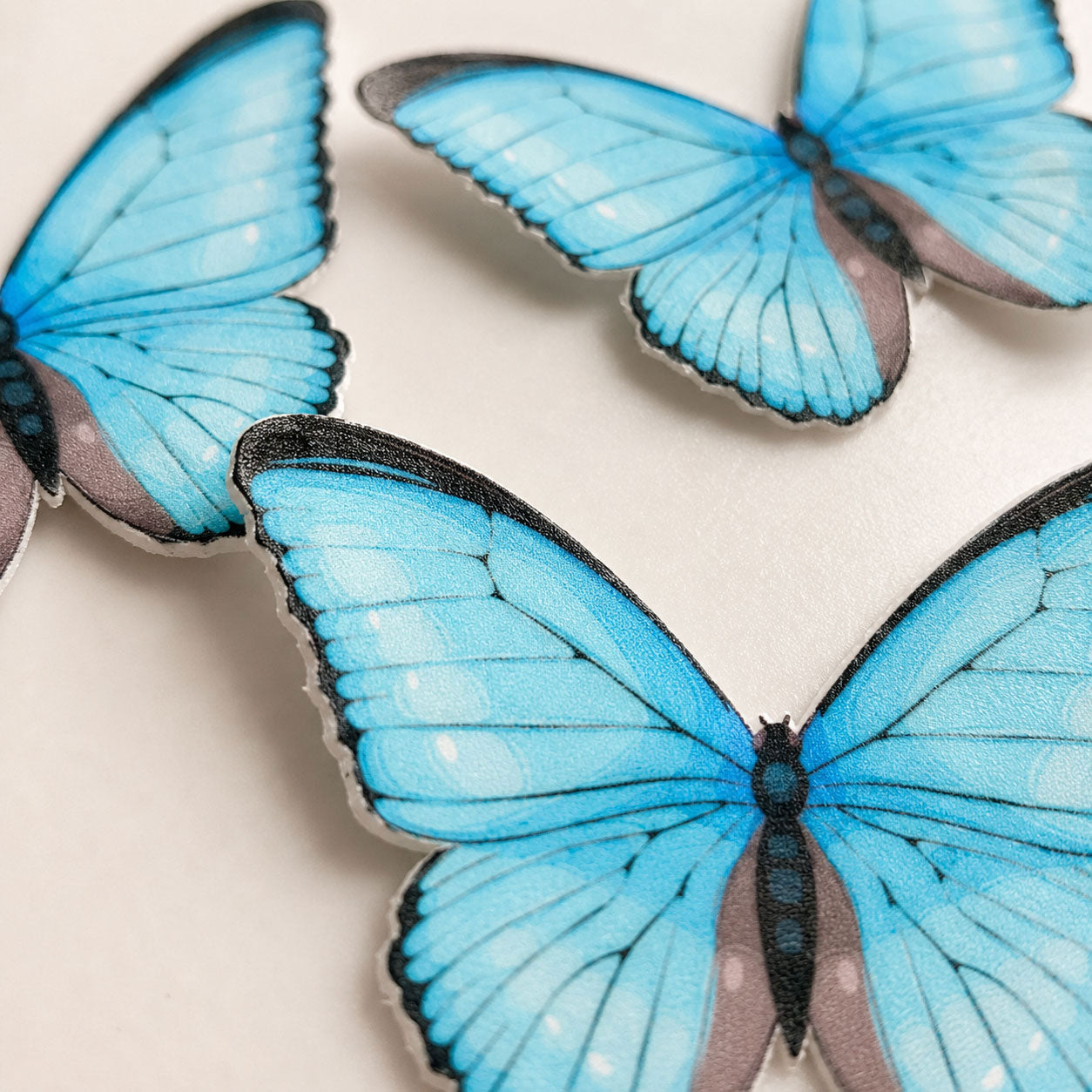 Close-up of blue edible butterfly cake toppers showing wafer-thin texture and cut edges