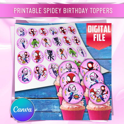 Pink Spidey Edible Cupcake Toppers – 24 Precut on Wafer Paper, Sugar Sheet or Uncut Chocotransfer